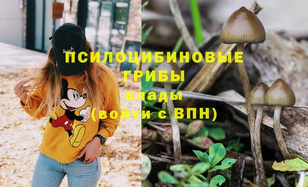 молекула духа Верея
