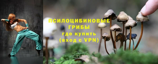 стаф Верхний Тагил