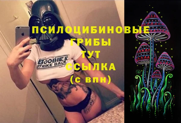 молекула духа Верея