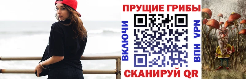 где найти   Златоуст  Галлюциногенные грибы GOLDEN TEACHER 